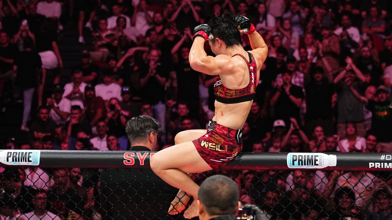 到了欧洲赛 到了欧洲赛