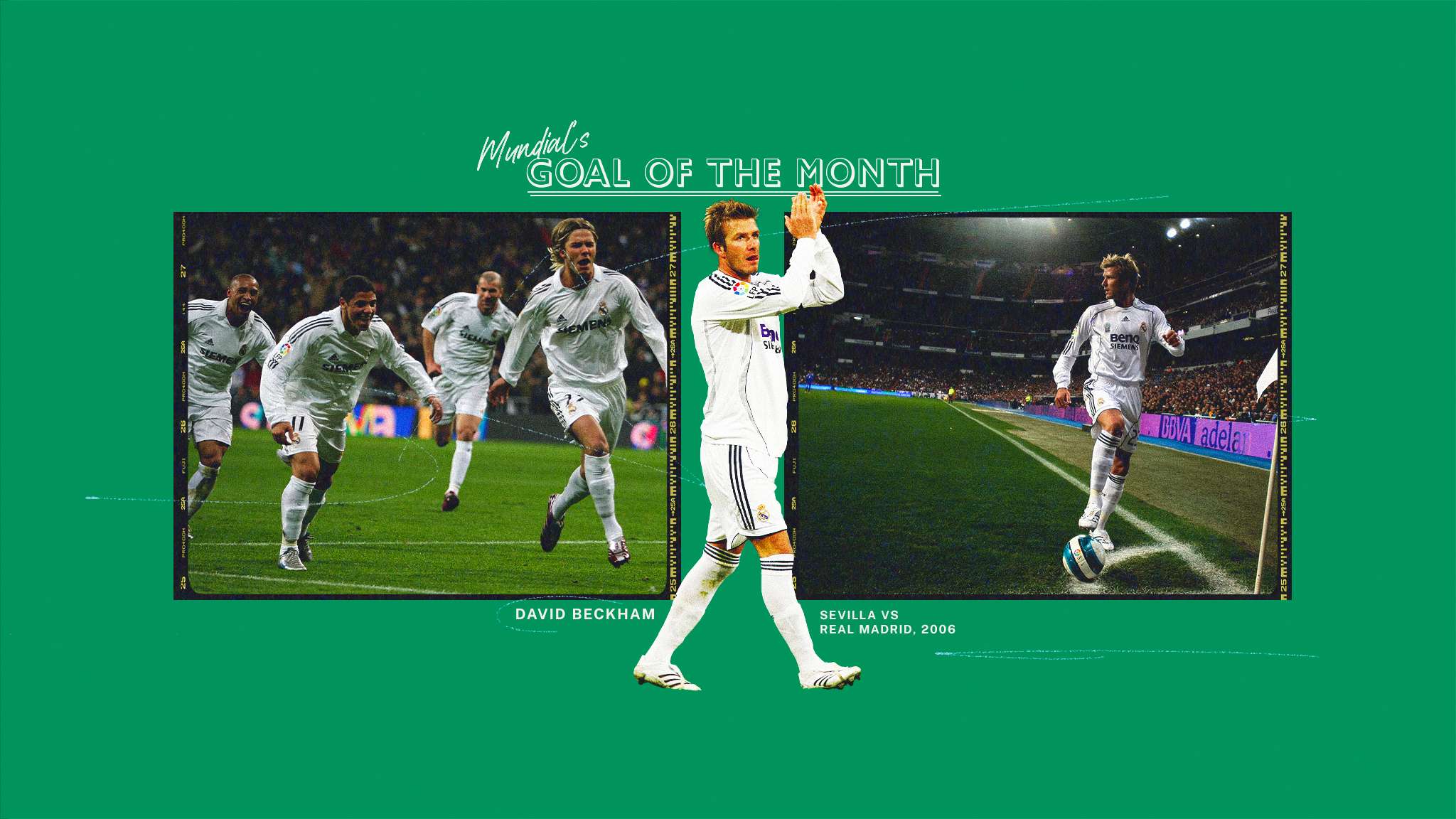 無疑表現出 無疑表現出